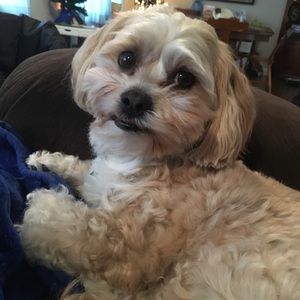 Meet your Posher, Julie